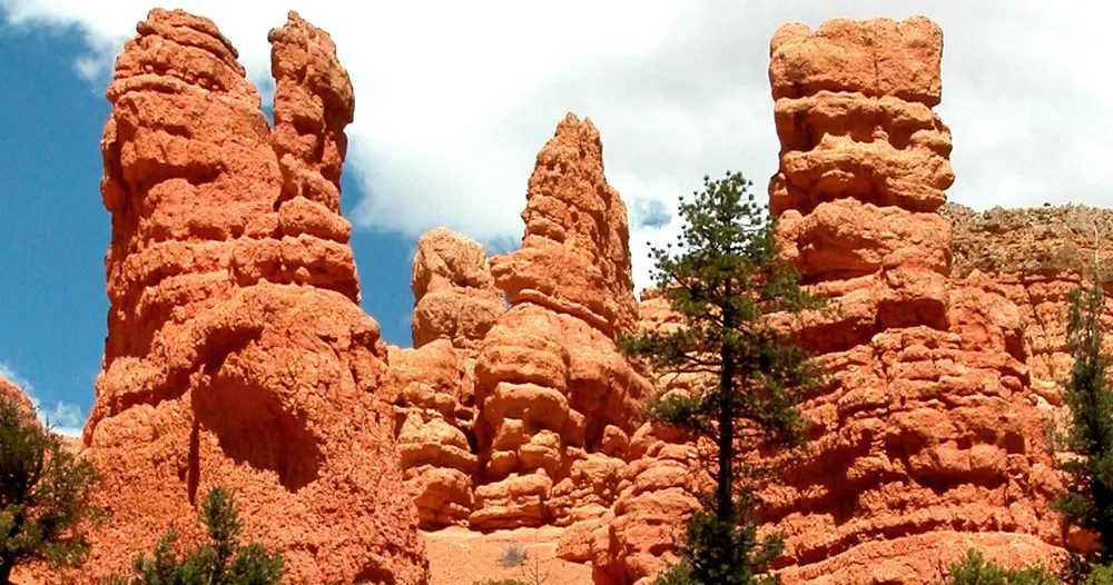 Bryce Canyon & Zion Park Combo Tour